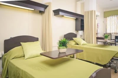 A neat interior of a resident room with beds and plants