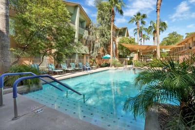 Swimming pool surrounded by palm trees and lounge chairs