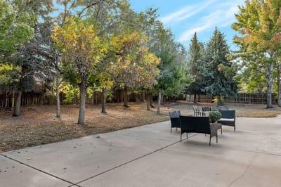 Outdoor space with trees and seating area
