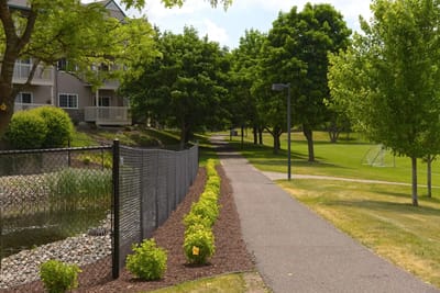 Pathway lined with trees leading to Meadowood Shores