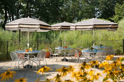 Outdoor patio area with tables and umbrellas