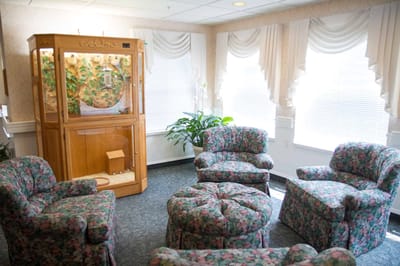Common area with floral-patterned seating and a terrarium