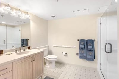 Bathroom with accessible features and modern fixtures