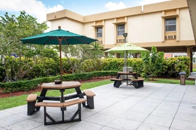 Outdoor seating area with umbrellas and picnic tables