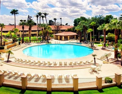 Overhead view of a large outdoor pool area with palm trees