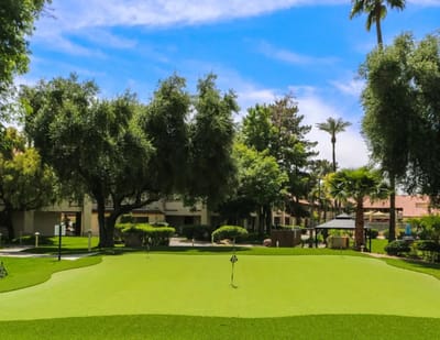 A well-maintained outdoor putting green surrounded by trees