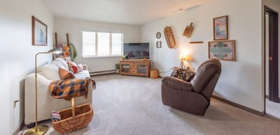 Bright living area with comfortable seating