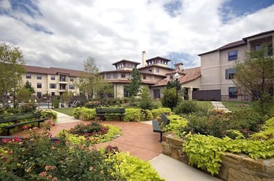 Outdoor garden area with building in the background