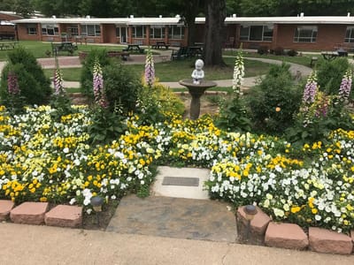 Colorful flower garden with a fountain in a courtyard
