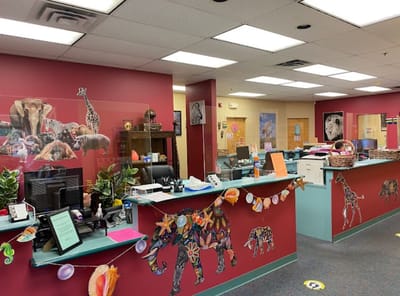 Vibrant decor in the facility's reception area