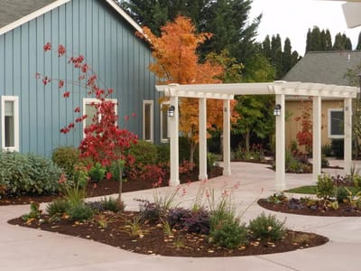 Beautiful outdoor garden area with walkways and trees