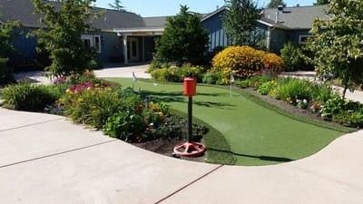 Beautifully landscaped outdoor garden area with pathways