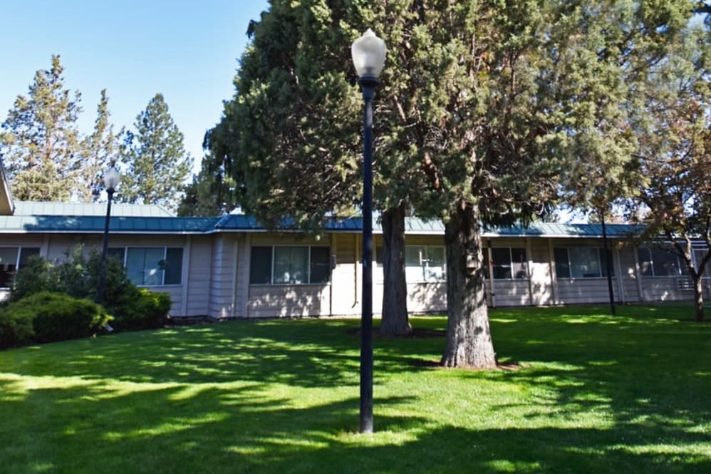 Outdoor view of landscaped area with trees and building