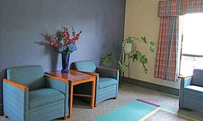 Comfortable seating area with plants and decorations