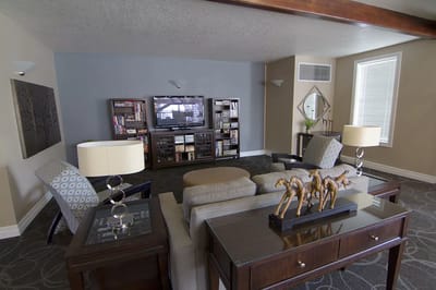 Cozy lounge area with seating and entertainment options