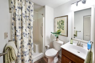 Interior photo of a modern bathroom with plants