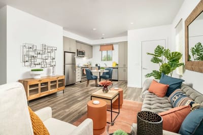 Bright and modern interior living space with plants and decor
