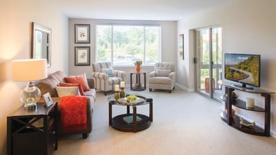Bright and cozy living area in a senior living apartment