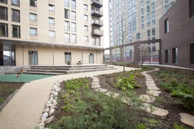 Outdoor space with walking paths and gardens