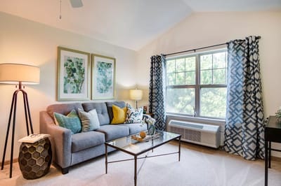 Cozy living area with comfortable seating and decorative elements