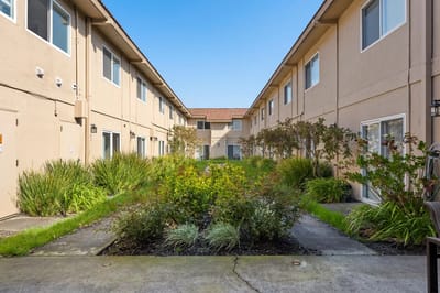Courtyard with greenery between two residential buildings