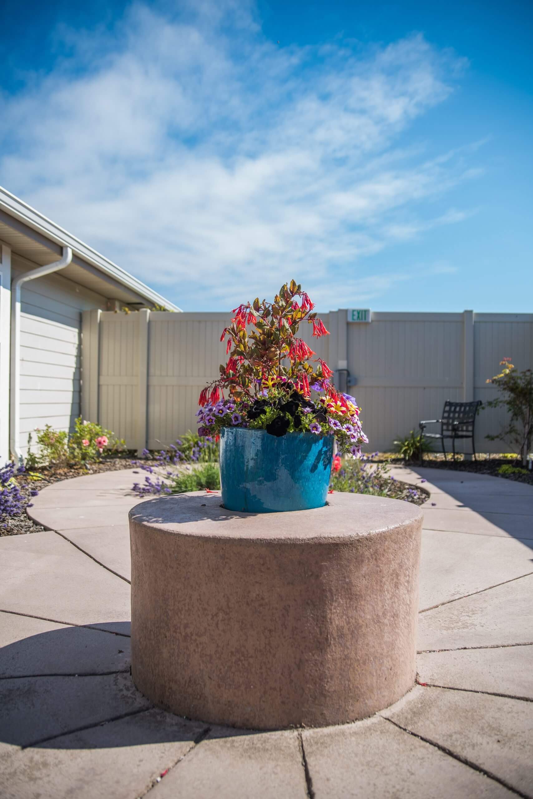 Colorful flower pot in an outdoor space