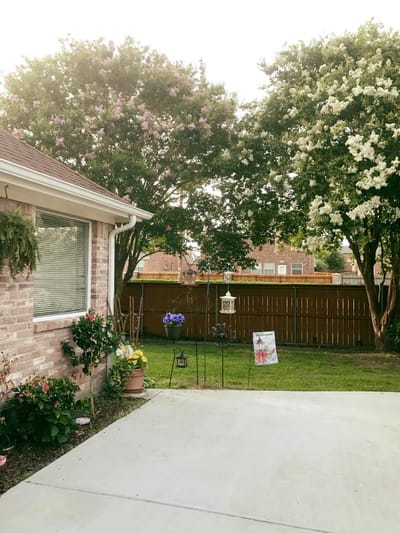 A view of a peaceful garden area with trees and flowers