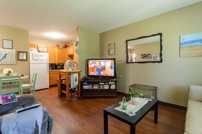 Cozy interior living space with kitchen area visible