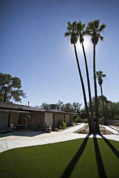 Palm trees with a facility building in the background