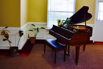 Interior view featuring a grand piano and plants