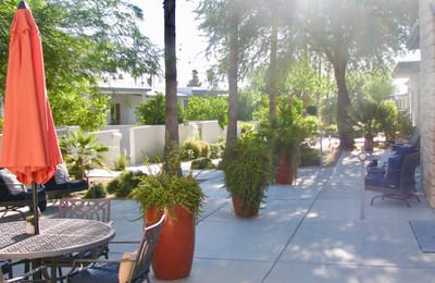 A peaceful outdoor space with seating and gardens