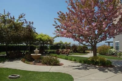 Beautiful garden area with flowering trees and seating