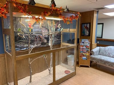 A bird habitat showcase in a facility common area.