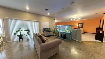 Bright common area with aquarium and seating