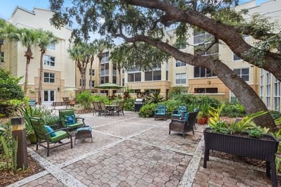 Outdoor seating area with greenery and palm trees