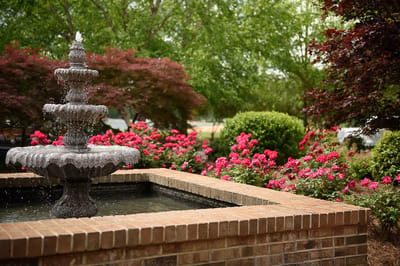 Beautiful fountain surrounded by colorful flowers in a garden