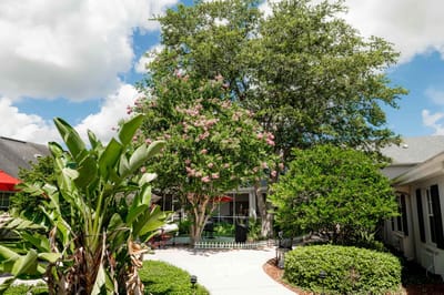 Beautiful landscaped courtyard with trees and plants