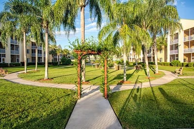 Well-maintained garden path lined with palm trees