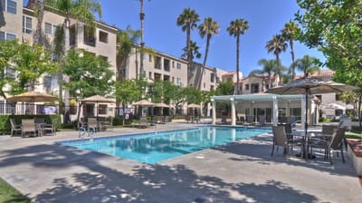Outdoor pool area at the facility with seating and palm trees
