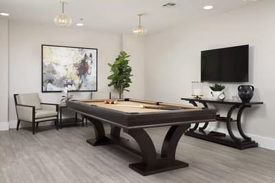Interior common area with a pool table and seating
