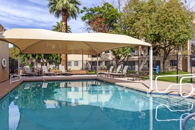 Outdoor pool area with palm trees and lounge chairs