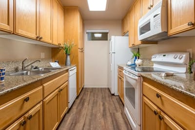 Modern kitchen with wooden cabinets and appliances