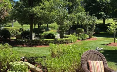 Beautiful landscaped garden area with seating