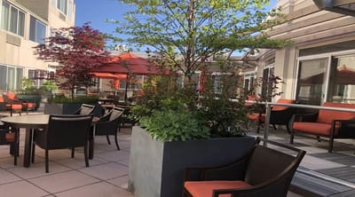 Outdoor patio with seating and greenery