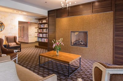 Interior lounge area with a fireplace and bookshelves