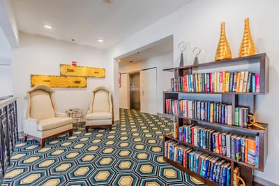 Cozy lounge area with bookshelves and seating
