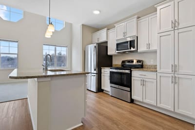Modern kitchen interior with stainless steel appliances