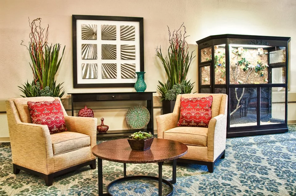 Cozy seating area with decorative plants and art