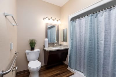 Modern bathroom with a shower and vanity
