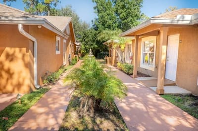 Pathway and greenery in an outdoor space